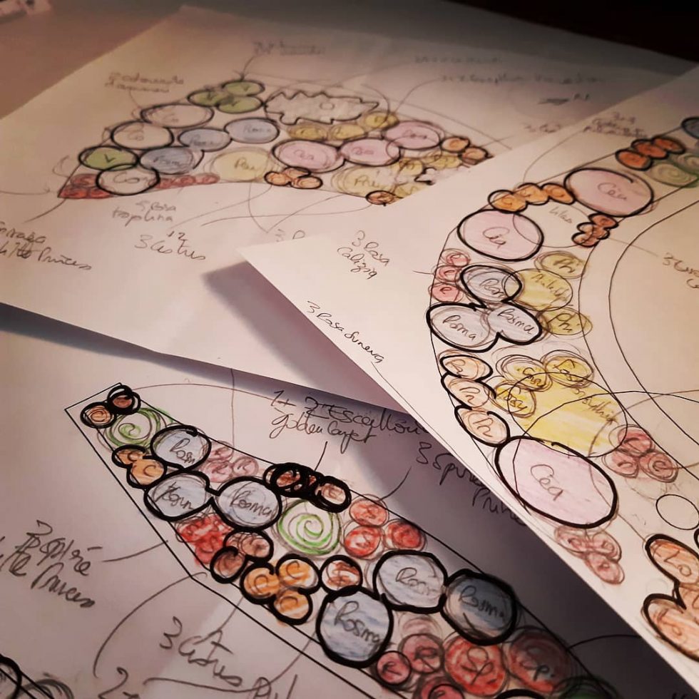 Travail de conception d'un plan de plantation