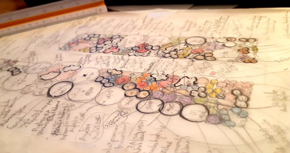 Photo d'un plan de plantation en cours de conception.