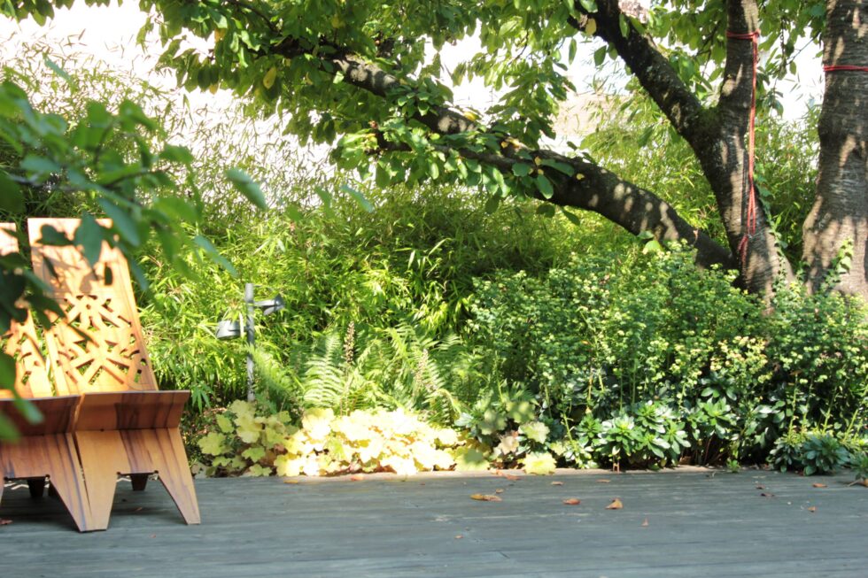 jardin luxuriant, plantes d'ombre et terrasse en bois. Un jardin cocooning à Mâcon.