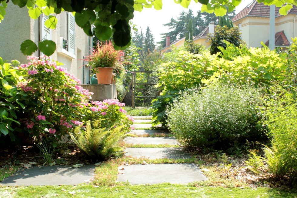 invitation au jardin par un pas japonais bordé de végétation, pour une ambiance naturelle dans l'aménagement de ce jardin à Mâcon.