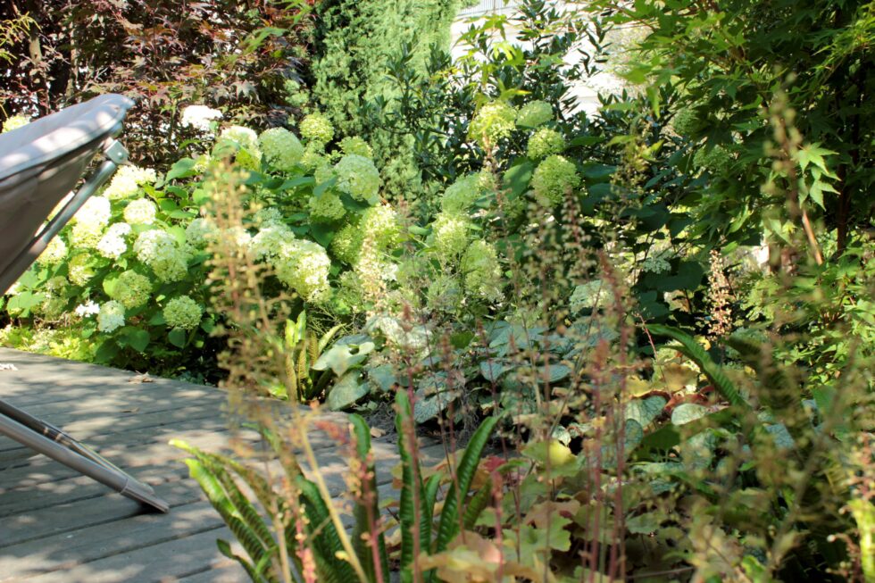 un massif luxuriant pour une ambiance naturelle, en bordure de terrasse bois.