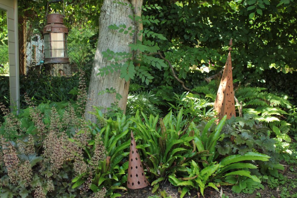 massif de plantes d'ombres, dans le jardin d'un gîte à Mâcon