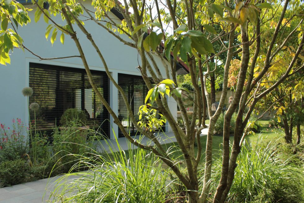 Photo de la réalisation d'un jardin à contempler à Saint-Cyr-au-Mont-d'Or, avec la création de carrés plantés foisonnants de plantations.