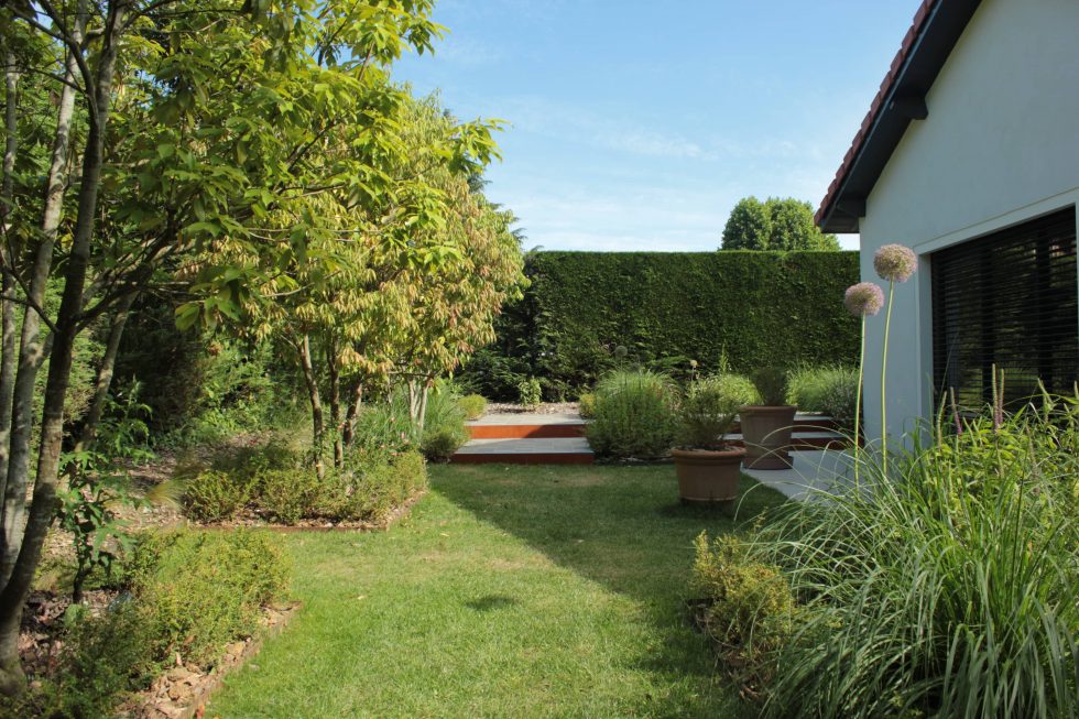 photo du réaménagement d'un jardin à Saint Didier au Mont d'Or. Création de carrés plantés : des plantations luxuriantes dans des lignes droites. Nous avons profité des légères différences de niveau pour créer un allée ponctuée de quelques marches.