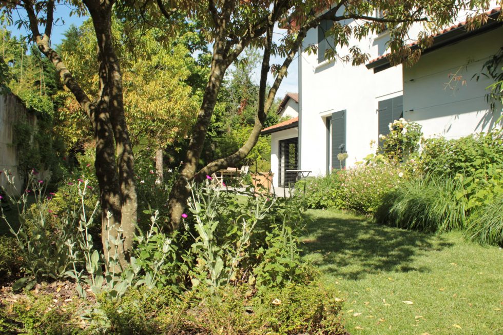 photo du réaménagement d'un jardin à Saint Didier au Mont d'Or. Création de carrés plantés : des plantations luxuriantes dans des lignes droites.