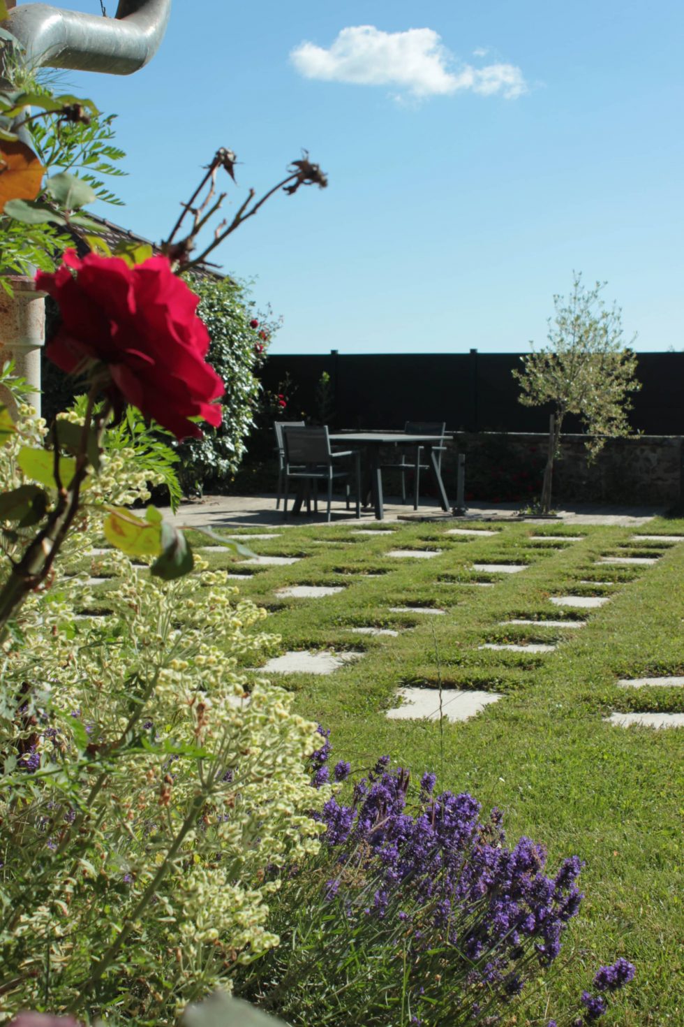 Photos de dalles de pierre, clairsemées dans le gazon