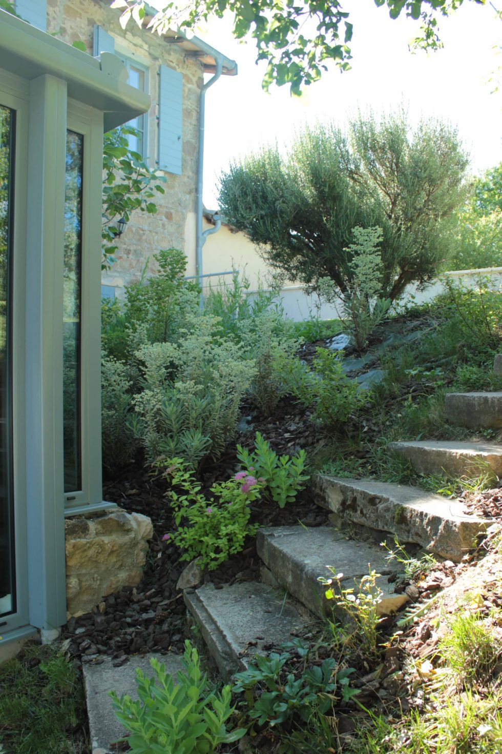 Photo d'un escalier en pierre bordé de plantations, pour créer un passage dans un talus raide.