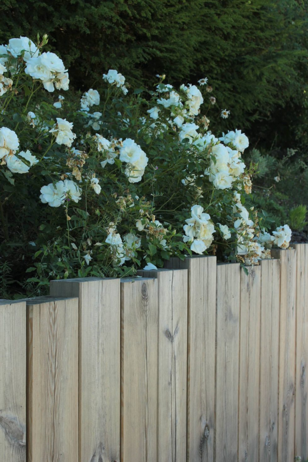Photo d'une retenue de terre réalisée an traverses de chêne posées à la verticale.